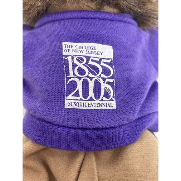 The College of New Jersey Lion Plush Toy Beanbag 1855 - 2005 Sesquicentennial 9" - Picture 12 of 12